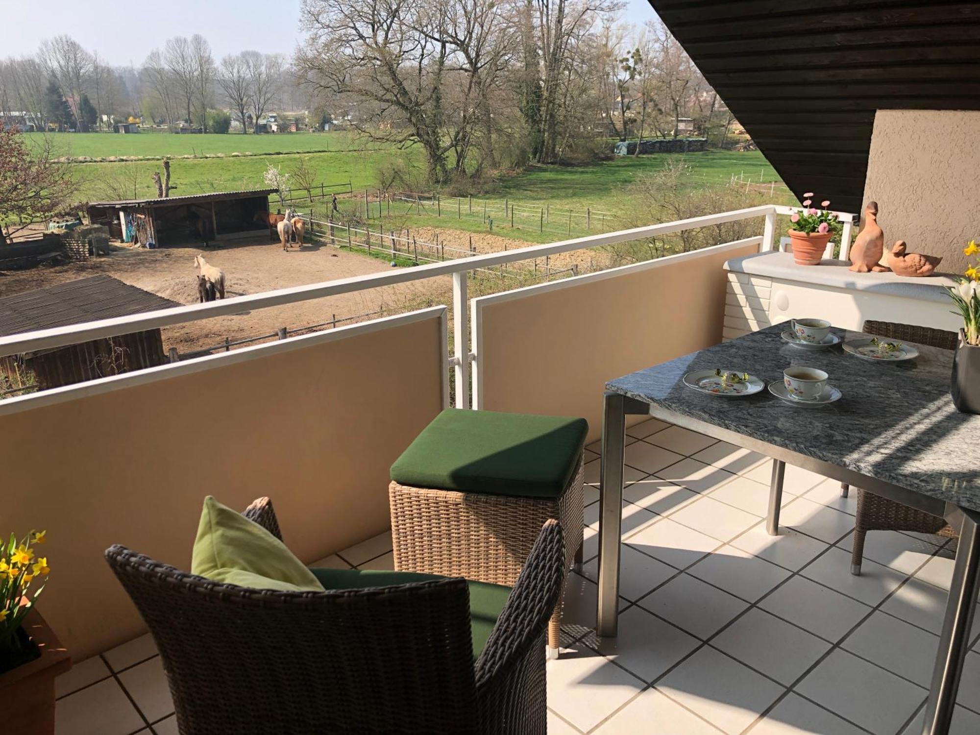 Apartment Annes Freiburg